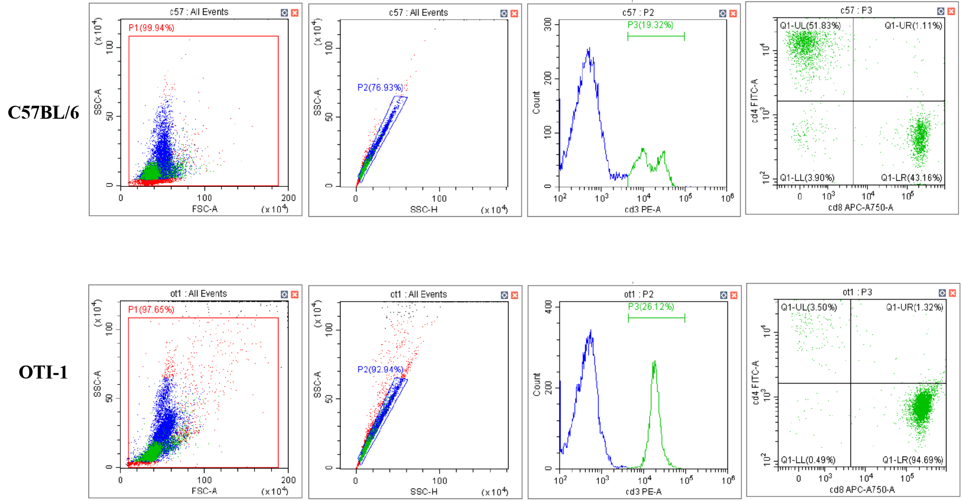 圖片關鍵詞